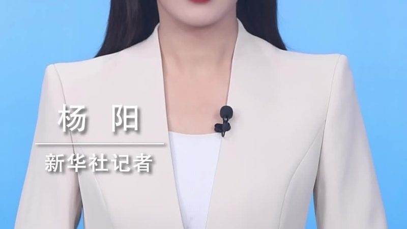 大数据分析：企业转型的加速器**